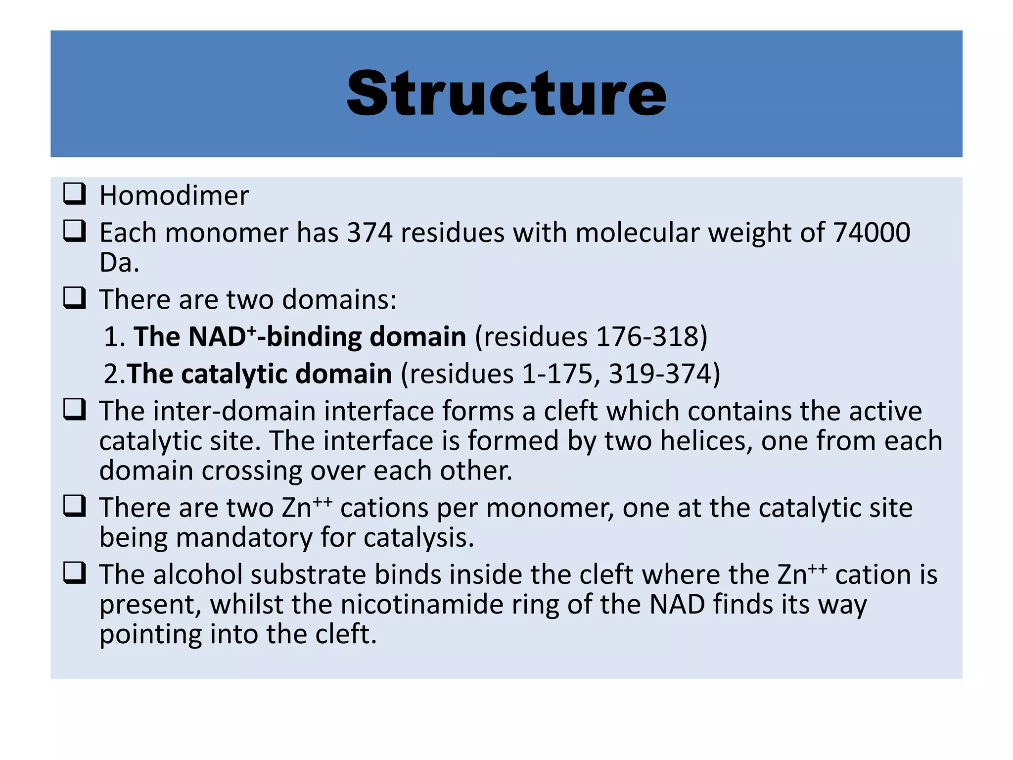 Structure
 Homodimer
 Each monomer has 374 residues with molecular weight of 74000
Da.
 There are two domains:
1. The NAD+-binding domain (residues 176-318)
2.The catalytic domain (residues 1-175, 319-374)
 The inter-domain interface forms a cleft which contains the active
catalytic site. The interface is formed by two helices, one from each
domain crossing over each other.
 There are two Zn++ cations per monomer, one at the catalytic site
being mandatory for catalysis.
 The alcohol substrate binds inside the cleft where the Zn++ cation is
present, whilst the nicotinamide ring of the NAD finds its way
pointing into the cleft.
 