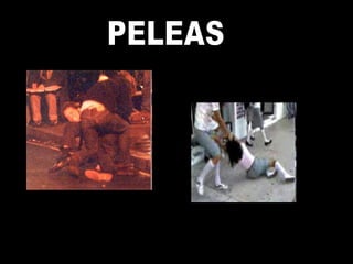 PELEAS