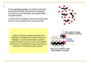 En los  alcoholes grandes , la cadena carbonada dificulta la formación de puentes de hidrógeno, provocando que el fenómeno sea desfavorable energéticamente. Los puentes de hidrógeno rotos en las sustancias puras no son sustituidos por nuevos puentes El grupo hidroxilo confiere polaridad a la molécula y posibilidad de formar enlaces de hidrógeno. La parte carbonada es apolar y resulta hidrófoba. Cuanto mayor es la longitud del alcohol su solubilidad en agua disminuye y aumenta en disolventes poco polares.                                                     