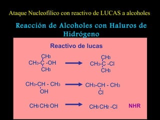 Reacción de Alcoholes con Haluros de Hidrógeno Reactivo de lucas NHR Ataque Nucleofílico con reactivo de LUCAS a alcoholes CH 3 CH 2 OH CH 3 CH 3 -C -OH CH 3 OH CH 3 -CH - CH 3 CH 3 CH 2 -Cl CH 3 CH 3 -C -Cl CH 3 Cl  CH 3 -CH - CH 3 