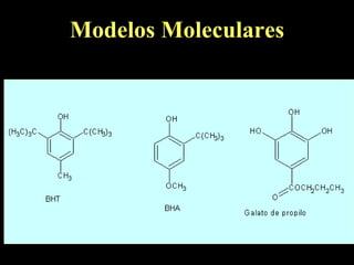 Modelos Moleculares 