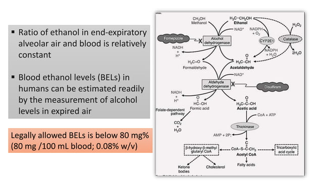 Alcohol : ethanol and methanol | PPTX