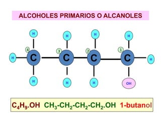 ALCOHOLES PRIMARIOS O ALCANOLES
OH
C C C C
H
H
H
H
H
H
H
H
H
C4H9.OH CH3-CH2-CH2-CH2.OH 1-butanol
4 3 2 1
 