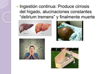  Ingestión continua: Produce cirrosis
del hígado, alucinaciones constantes
“delirium tremens” y finalmente muerte
 
