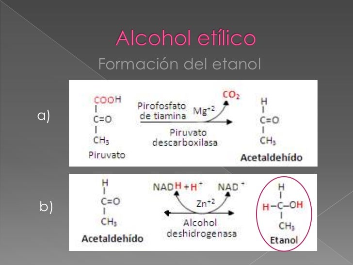 Como Se Clasifica El Alcohol Etilico