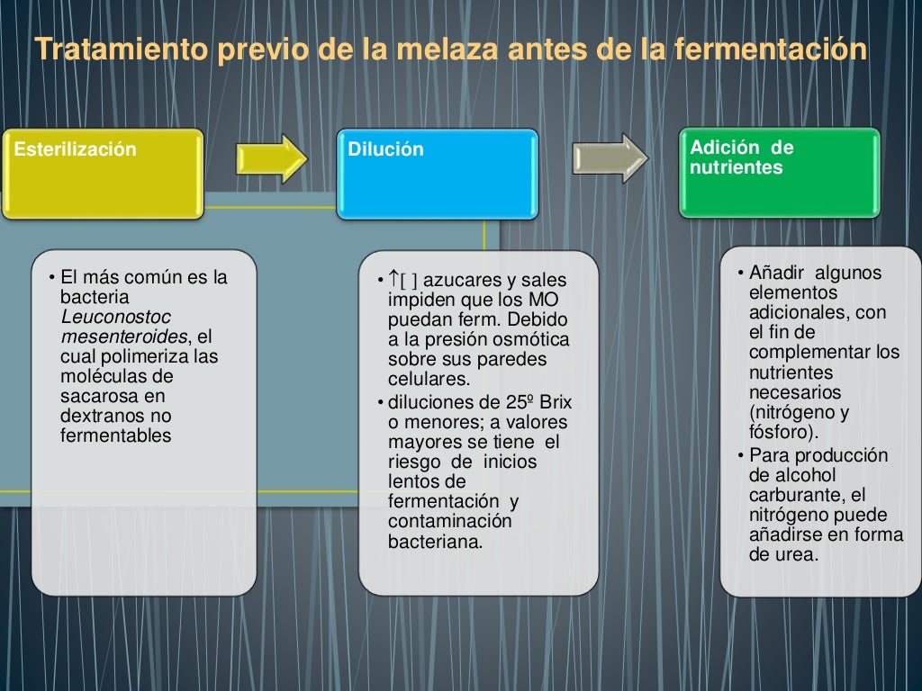 metabolismo anaerobico lactico Mentalidad