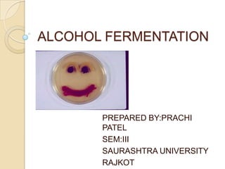 ALCOHOL FERMENTATION




       PREPARED BY:PRACHI
       PATEL
       SEM:III
       SAURASHTRA UNIVERSITY
       RAJKOT
 