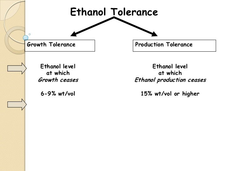 Alcohol fermentation - Alcohol Fermentation 19 728