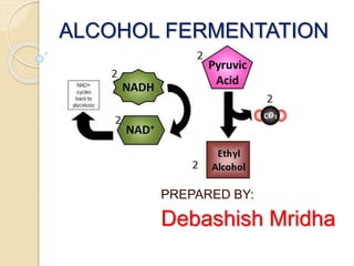 ALCOHOL FERMENTATION
PREPARED BY:
Debashish Mridha
 