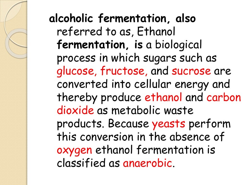 FERMENTATION OF ALCOHOL - Fermentation Of Alcohol 3 1024