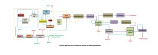 Alcohol fermentation | PDF