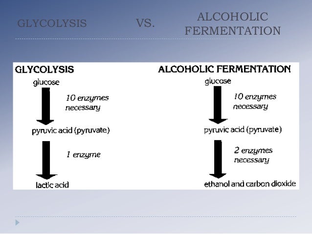 alcoholic fermentation process alcoholic fermentation