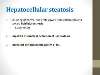 Hepatocellular steatosis
1. Shunting of normal substrates away from catabolism and
toward lipid biosynthesis
• Excess NADH
2. Impaired assembly & secretion of lipoproteins
3. Increased peripheral catabolism of fat.
 