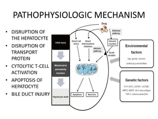 PATHOPHYSIOLOGIC MECHANISM
• DISRUPTION OF
THE HEPATOCYTE
• DISRUPTION OF
TRANSPORT
PROTEIN
• CYTOLYTIC T-CELL
ACTIVATION
• APOPTOSIS OF
HEPATOCYTE
• BILE DUCT INJURY
 