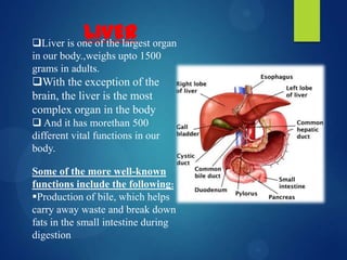 LIVERLiver is one of the largest organ
in our body.,weighs upto 1500
grams in adults.
With the exception of the
brain, the liver is the most
complex organ in the body
 And it has morethan 500
different vital functions in our
body.
Some of the more well-known
functions include the following:
Production of bile, which helps
carry away waste and break down
fats in the small intestine during
digestion
 