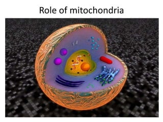 Role of mitochondria
 
