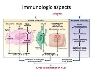 Immunologic aspects
 