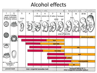 Alcohol effects
 