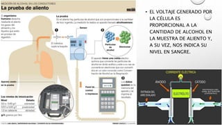• EL VOLTAJE GENERADO POR
LA CÉLULA ES
PROPORCIONAL A LA
CANTIDAD DE ALCOHOL EN
LA MUESTRA DE ALIENTO Y,
A SU VEZ, NOS INDICA SU
NIVEL EN SANGRE.
 