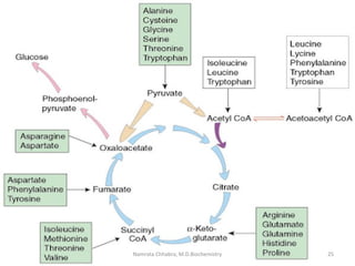 25Namrata Chhabra, M.D.Biochemistry
 