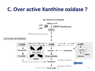 C. Over active Xanthine oxidase ?
PRPP Synthetase
48Namrata Chhabra, M.D.Biochemistry
 