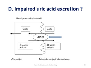 D. Impaired uric acid excretion ?
49Namrata Chhabra, M.D.Biochemistry
 