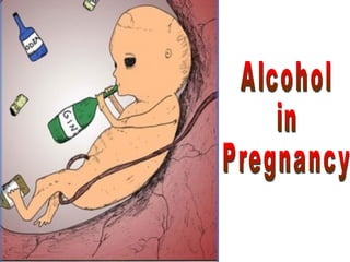 Alcohol in Pregnancy 