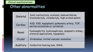 Other abnormalities
Clinical manifestations
Skeletal
Joint contracture, scoliosis, hemivertebrae
brachydactyly, clinodactyly, high arched palate
Cardiac
ASD, VSD, hypoplastic pulmonary artery, TOF,
pectus excavatum or carinatum
Renal
Pyelonephritis, hydronephrosis, dysplastic kidney,
ureteral duplications, hypoplasia
Ocular Strabismus, retinal vascular anomalies
Auditory Conductive hearing loss, SNHL
 