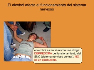 El alcohol afecta el funcionamiento del sistema nervioso el alcohol es en si mismo una droga  DEPRESORA  del funcionamiento del SNC (sistema nervioso central).  NO es un estimulante.  