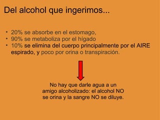 Del alcohol que ingerimos... 20% se absorbe en el estomago,  90% se metaboliza por el hígado  10%  se elimina del cuerpo principalmente por el AIRE espirado, y  poco por orina o transpiración. No hay que darle agua a un amigo alcoholizado: el alcohol NO se orina y la sangre NO se diluye. 