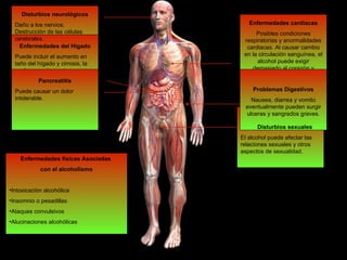 Disturbios neurológicos Daño a los nervios. Destrucción de las células cerebrales. Enfermedades del Hígado Puede incluir el aumento en taño del hígado y cirrosis, la cual es comúnmente una condición grade y permanente. Pancreatitis Puede causar un dolor intolerable. Enfermedades físicas Asociadas  con el alcoholismo Intoxicación alcohólica Insomnio o pesadillas Ataques convulsivos Alucinaciones alcohólicas Enfermedades cardiacas Posibles condiciones respiratorias y anormalidades cardiacas. Al causar cambio en la circulación sanguínea, el alcohol puede exigir demasiado al corazón y aumentar su carga de trabajo. Problemas Digestivos Nausea, diarrea y vomito eventualmente pueden surgir ulceras y sangrados graves. Disturbios sexuales El alcohol puede afectar las relaciones sexuales y otros aspectos de sexualidad. 