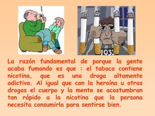 La razón fundamental de porque la gente
acaba fumando es que : el tabaco contiene
nicotina, que es una droga altamente
adictiva. Al igual que con la heroína u otras
drogas el cuerpo y la mente se acostumbran
tan rápido a la nicotina que la persona
necesita consumirla para sentirse bien.
 