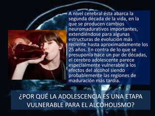 ¿POR QUÉ LA ADOLESCENCIA ES UNA ETAPA
VULNERABLE PARA EL ALCOHOLISMO?
A nivel cerebral ésta abarca la
segunda década de la vida, en la
que se producen cambios
neuromadurativos importantes,
extendiéndose para algunas
estructuras de evolución más
reciente hasta aproximadamente los
25 años. En contra de lo que se
presuponía hace un par de décadas,
el cerebro adolescente parece
especialmente vulnerable a los
efectos del alcohol siendo
probablemente las regiones de
maduración más tardía.
 
