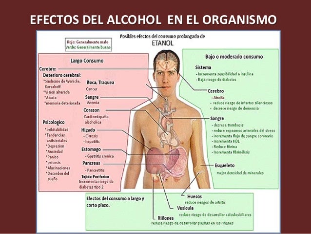 Después de kolme cuanto no beber