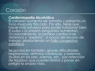 Corazón
Cardiomiopatía Alcohólica
El corazón aumenta de tamaño y presenta un
tono muscular fláccido. Por ello, tiene que
hacer más esfuerzo para poder funcionar bien.
El pulso y la presión sanguínea aumentan.
Ocasionalmente, la bomba cardiaca se
deteriora y “explota”, a causa del exceso de
trabajo, produciendo un Fallo congestivo
cardiaco.
Se producen también, graves dificultades
respiratorias, arritmias cardiacas, y edemas
(bultos en los pies, piernas, etc., por retención
de líquidos) que pueden limitar y poner en
peligro la propia vida.
 
