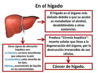 En el hígado 
Produce “Cirrosis hepática”: 
muerte celular que lleva a la 
degeneración del órgano, por la 
destrucción irreversible de sus 
células. 
Cáncer de hígado. 
Otros signos de alteración 
hepática son: 
La ictericia, un tono amarillento 
que adquiere la piel. 
La esclerótica, color amarillo de 
los ojos. 
Edemas, acumulación de líquido 
en las extremidades. 
El hígado es el órgano más 
dañado debido a que su acción 
es metabolizar el alcohol, 
desdoblándolo a otras 
sustancias. 
 