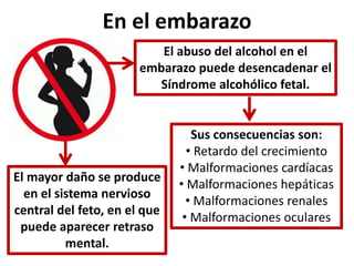 En el embarazo 
El abuso del alcohol en el 
embarazo puede desencadenar el 
Síndrome alcohólico fetal. 
Sus consecuencias son: 
• Retardo del crecimiento 
• Malformaciones cardíacas 
• Malformaciones hepáticas 
• Malformaciones renales 
• Malformaciones oculares 
El mayor daño se produce 
en el sistema nervioso 
central del feto, en el que 
puede aparecer retraso 
mental. 
 