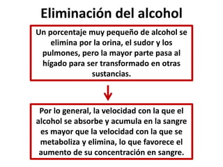 Eliminación del alcohol 
Un porcentaje muy pequeño de alcohol se 
elimina por la orina, el sudor y los 
pulmones, pero la mayor parte pasa al 
hígado para ser transformado en otras 
sustancias. 
Por lo general, la velocidad con la que el 
alcohol se absorbe y acumula en la sangre 
es mayor que la velocidad con la que se 
metaboliza y elimina, lo que favorece el 
aumento de su concentración en sangre. 
 