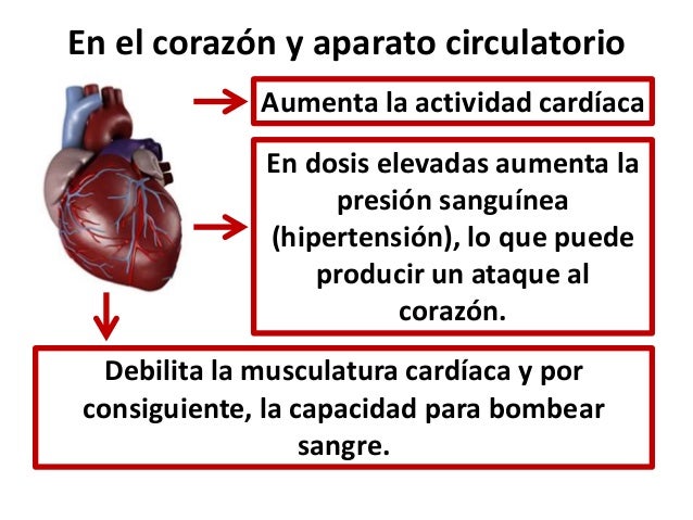 El tratamiento calificado del alcoholismo