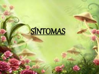 SÍNTOMAS 
 