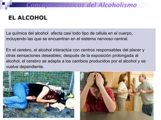 La química del alcohol afecta casi todo tipo de célula en el cuerpo,
incluyendo las que se encuentran en el sistema nervioso central.
En el cerebro, el alcohol interactúa con centros responsables del placer y
otras sensaciones deseables; después de la exposición prolongada al
alcohol, el cerebro se adapta a los cambios producidos por el alcohol y se
vuelve dependiente.
EL ALCOHOL
Conceptos básicos del Alcoholismo
6
 
