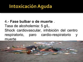 4.- Fase bulbar o de muerte .
Tasa de alcoholemia: 5 g/L.
Shock cardiovascular, inhibición del centro
respiratorio, paro cardio-respiratorio y
muerte
 