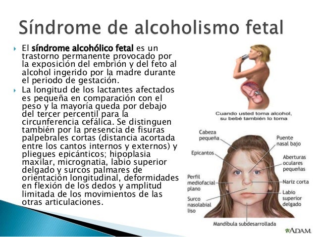 Que limpian el organismo después del alcoholismo