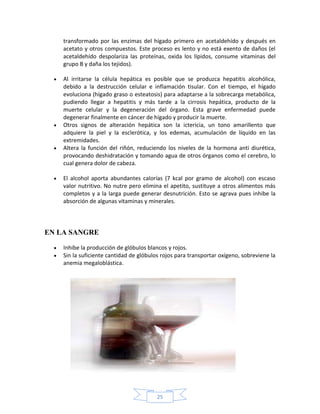 transformado por las enzimas del hígado primero en acetaldehído y después en
    acetato y otros compuestos. Este proceso es lento y no está exento de daños (el
    acetaldehído despolariza las proteínas, oxida los lípidos, consume vitaminas del
    grupo B y daña los tejidos).

    Al irritarse la célula hepática es posible que se produzca hepatitis alcohólica,
    debido a la destrucción celular e inflamación tisular. Con el tiempo, el hígado
    evoluciona (hígado graso o esteatosis) para adaptarse a la sobrecarga metabólica,
    pudiendo llegar a hepatitis y más tarde a la cirrosis hepática, producto de la
    muerte celular y la degeneración del órgano. Esta grave enfermedad puede
    degenerar finalmente en cáncer de hígado y producir la muerte.
    Otros signos de alteración hepática son la ictericia, un tono amarillento que
    adquiere la piel y la esclerótica, y los edemas, acumulación de líquido en las
    extremidades.
    Altera la función del riñón, reduciendo los niveles de la hormona anti diurética,
    provocando deshidratación y tomando agua de otros órganos como el cerebro, lo
    cual genera dolor de cabeza.

    El alcohol aporta abundantes calorías (7 kcal por gramo de alcohol) con escaso
    valor nutritivo. No nutre pero elimina el apetito, sustituye a otros alimentos más
    completos y a la larga puede generar desnutrición. Esto se agrava pues inhibe la
    absorción de algunas vitaminas y minerales.




EN LA SANGRE

    Inhibe la producción de glóbulos blancos y rojos.
    Sin la suficiente cantidad de glóbulos rojos para transportar oxígeno, sobreviene la
    anemia megaloblástica.




                                         25
 