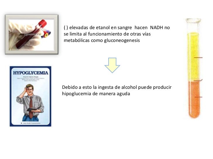 Las causas del alcoholismo el trabajo de curso