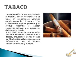 Su composición incluye un alcaloide,
la nicotina, que se encuentra en las
hojas en proporciones variables
(desde menos del 1% hasta el 12%).
Cuando estas hojas se procesan para
producir cigarrillos se añaden
sustancias químicas que pueden ser
dañinas para la salud.
A través del humo, se incorporan los
distintos elementos contenidos en el
tabaco, provocando efectos nocivos
en fibroblastos, células sanguíneas e
inflamatorias, en el sistema
inmunitario celular y humoral.
 