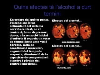 Quins efectes té l’alcohol a curt
termini
En contra del què es pensa,
l’alcohol no és un
estimulant del sistema
nerviós central, en el
contrari, és un depressor,
doncs, a la sensació inicial
d’eufòria li segueix un estat
de somnolència amb visió
borrosa, falta de
coordinació muscular,
augment del temps de
resposta, disminució de la
capacitar de comprendre i
atendre i pèrdua del
control emocional.
 