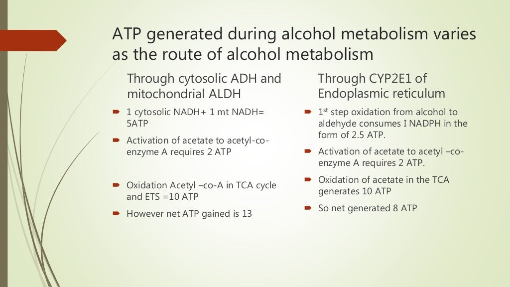 Alcohol metabolism (2)