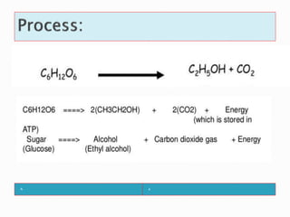Alcohol Production by Yeast.pptx