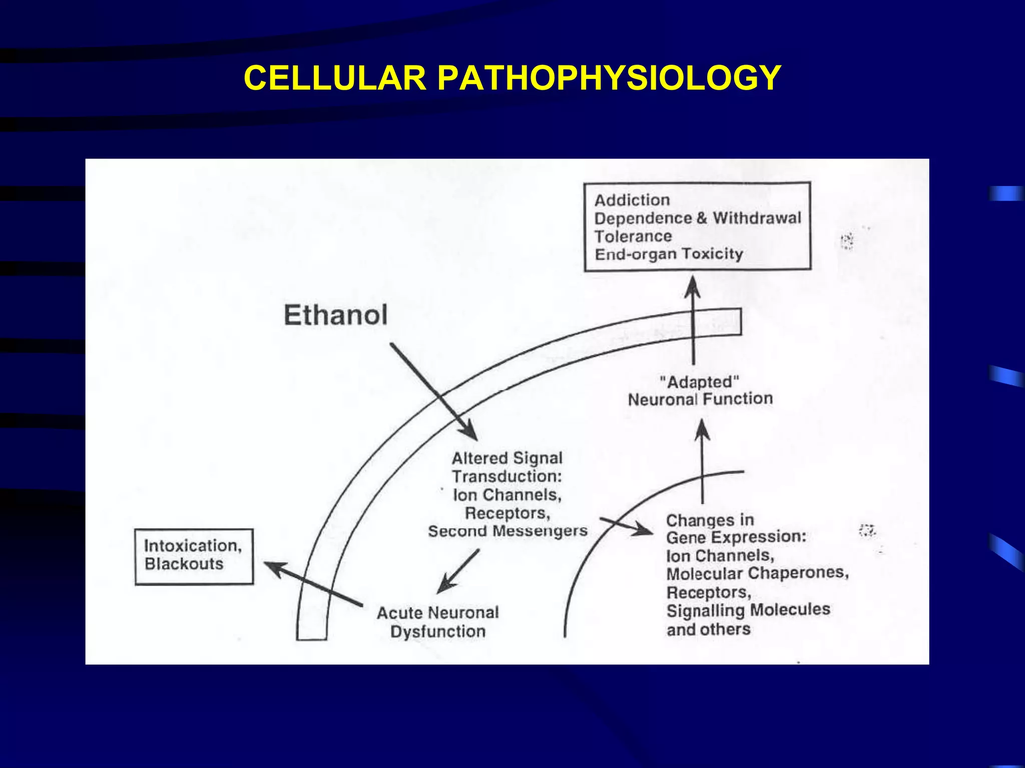 CELLULAR PATHOPHYSIOLOGY
 